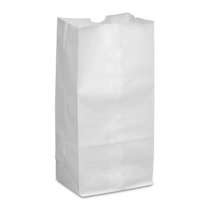 Prescription Paper Bags - 10LB - White (1000 Pcs.)