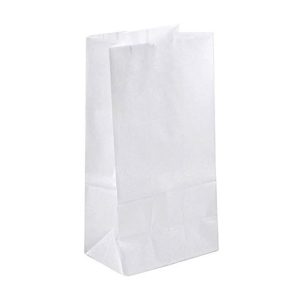Prescription Paper Bags - 20LB - white/Brown (500 Pcs.) - Image 3